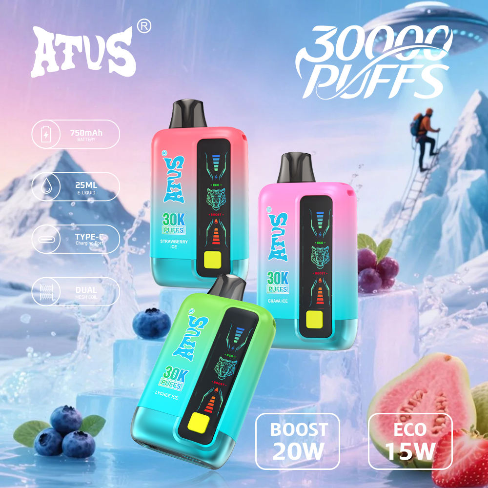 30000 Puffs 25ml Vape pakai buang dengan Skrin Sentuh Boleh Dicas semula dan Aliran Udara Boleh Laras